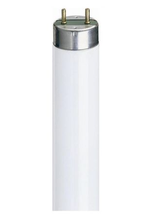 6' 70w Activa Tube Col 172 (SLI 0002188)