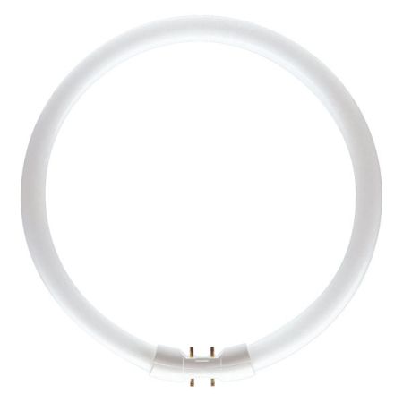 40w T5 Circular Tubes Col 840 (Philips 40TL5C840)