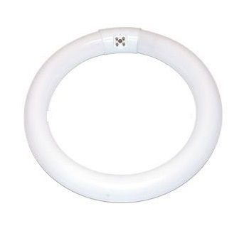 22w T9 Circular Triphosphor Col 840 (BELL)